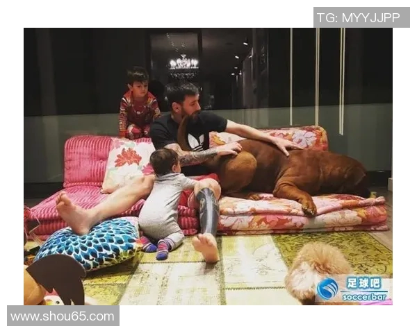 足球明星们的宠物时光精彩瞬间遛狗视频合集大揭秘